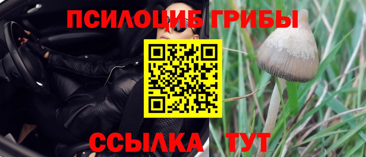 Псилоцибиновые грибы Magic Shrooms Тайшет