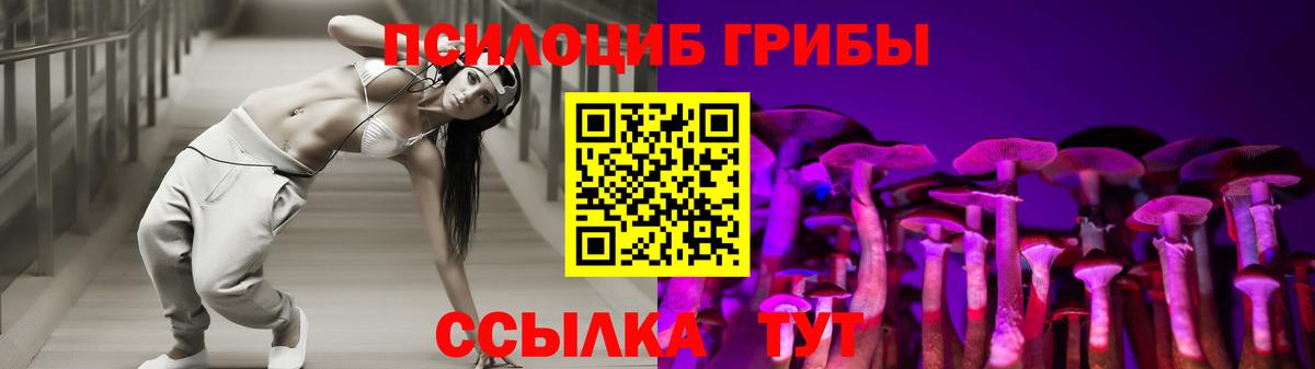 Псилоцибиновые грибы прущие грибы  где можно купить наркотик  Тайшет  Галлюциногенные грибы Psilocybine cubensis  Вход с VPN 