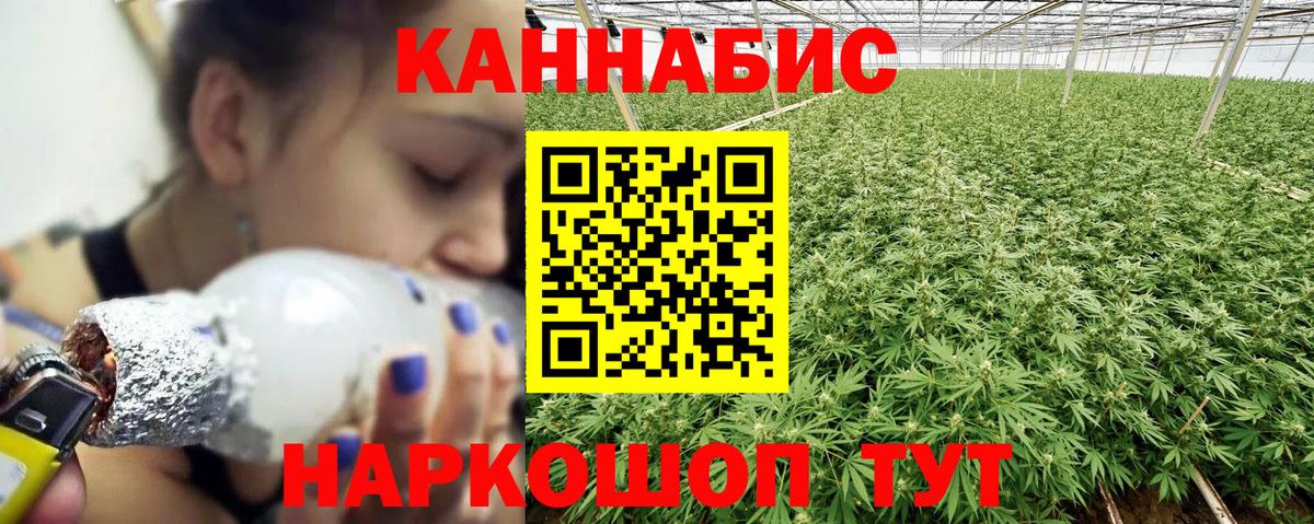 Конопля конопля Тайшет